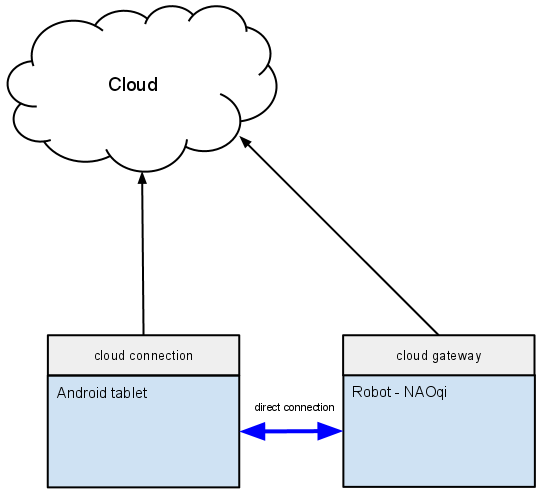 ../../../_images/NAOqi2.0-clouddirectconnection.png